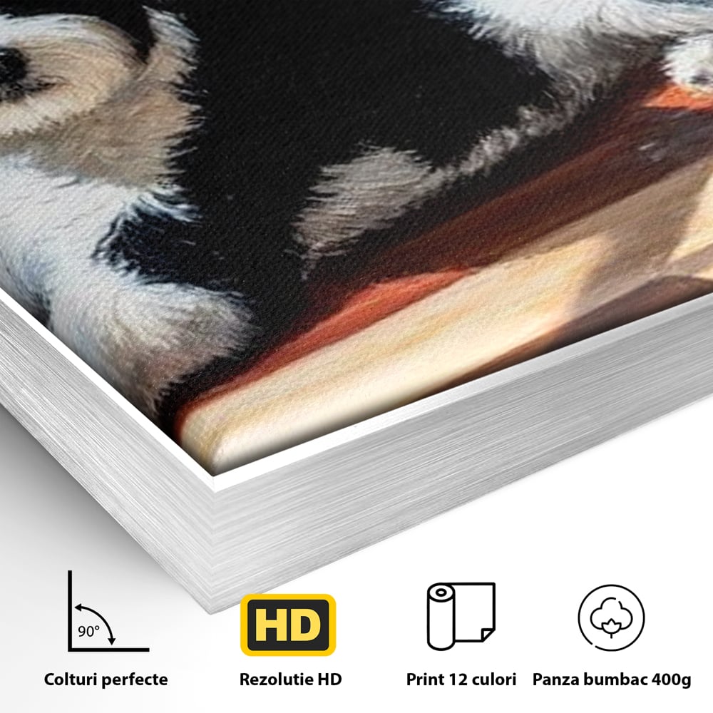 Detaliu al suprafetei: tablou canvas cu catel negru cu alb, in rama de aluminiu argintiu